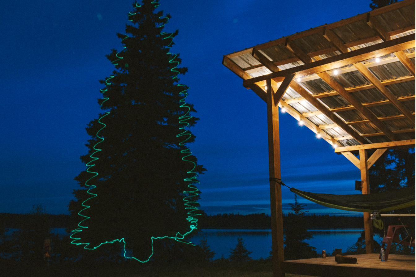 String lights tracing the gazebo and spruce against the night sky