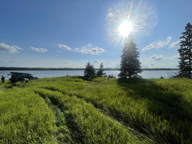 Sun flaring over the meadow grass with the lake beyond