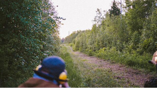 The narrow green trail into camp