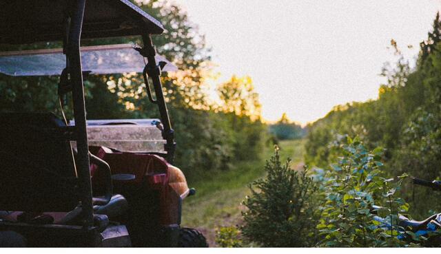 The side-by-side rolling down an evening trail